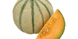 تعبیر خواب ملون برای زن باردار و دختر مجرد و خریدن و خوردن طالبی