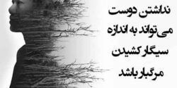 شعر در مورد دوست قدیمی و دوست نداشتن از حافظ و مولانا