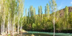 تعبیر خواب راه رفتن در آب رودخانه زلال و استخر پر از ماهی و راه رفتن روی اب روان امام صادق