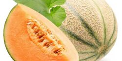 تعبیر خواب طالبی امام صادق و طالبی خوردن زیاد و دادن طالبی خراب به دیگران