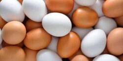 تعبیر خواب تخمه مرغ برای دختر و شکستن تخم مرغ خام از امام صادق و حضرت یوسف