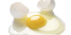 تعبیر خواب تخمه مرغ نیمرو برای دختر مجرد از امام صادق و ابن سیرین و حضرت یوسف
