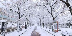 تعبیر خواب برف و یخ و دیدن برف از پشت پنجره و راه رفتن روی یخبندان و یخ در حال اب شدن