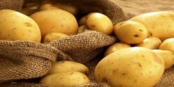 تعبیر خواب سیب زمینی جوانه زده و پیاز برای زن باردار و سیب زمینی از مرده گرفتن و ابن سیرین