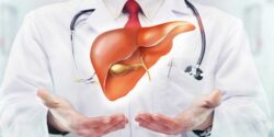 زنجبیل و کبد و عوارض زنجبیل و دارچین و عسل برای کبد چرب خوب است یان