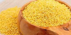 خواص ارزن و دانه و گندم ریختن برای پرندگان و دانه دادن به کبوتر