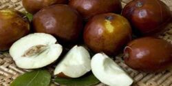 ایا عناب چربی سوز است و طرز تهیه دمنوش عناب تازه چاق کننده و برای لاغری  است