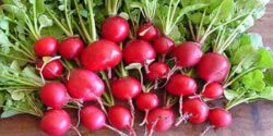 خواص برگ تربچه و موارد استفاده از برگ تربچه خشک شده برای کلیه و مضرات برگ تربچه