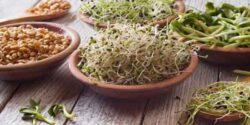 خواص جوانه ماش برای چاقی صورت و لاغری و باردار شدن