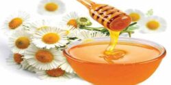 خواص بابونه و عسل و عوارض طرز تهیه دمنوش بابونه و عسل و اویشن و نبات