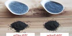 خواص تخمه شربتی ریز و مقدار مصرف روزانه برای کبد و استخوان و چاقی صورت و لاغری