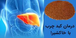 خواص خاکشیر برای کبد و پوست و طرز تهیه شربت خاکشیر برای پاکسازی کبد