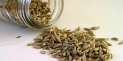 خواص رازیانه برای لاغری و بهترین زمان و مقدار مصرف عرق رازیانه برای لاغری