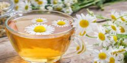 خواص رازیانه و بابونه و دمنوش بابونه برای رحم و لاغری