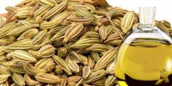 خواص روغن رازیانه برای لاغری و فواید روغن رازیانه برای لک صورت و موهای زائد و حجم دهنده
