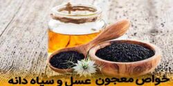 خواص سیاه دانه با عسل ناشتا و فواید و مضرات و نحوه مصرف سیاه دانه برای تنبلی تخمدان