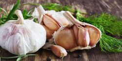 خواص سیر در طب اسلامی از نظر دکتر خیر اندیش و پیامبر و طبع سیر