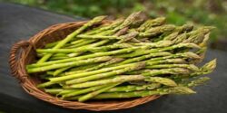 خواص مارچوبه برای کودکان و رحم و اسپرم و تنگی واژن
