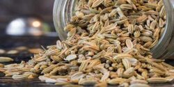رازیانه در قاعدگی و فواید خوردن دمنوش رازیانه و زنجبیل برای قاعدگی و علت نخوردن رازیانه در زمان پریود