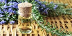 خواص روغن رزماری تقدیس برای درد مفاصل و ناخن و پوست
