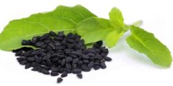 سیاه دانه برای چی خوبه و خواص روغن و جوشانده سیاه دانه برای مردان