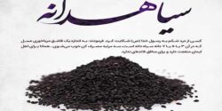 سیاه دانه در طب سنتی و جویدن سیاه دانه صبح ناشتا و خواص دمنوش