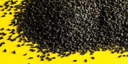 فواید سیاه دانه برای دیابت بارداری و خواص و روش مصرف سیاهدانه و عسل برای دیابت نوع یک