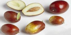 مقدار مصرف روزانه عناب و بهترین طریقه زمان مصرف برای کبد چرب و طرز شستن عناب