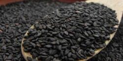 مقدار مصرف سیاه دانه در روز باعسل برای چربی خون و فشار خون