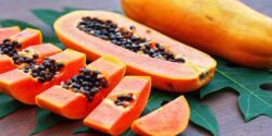 خواص پاپایا در طب سنتی برای کبد و مضرات پاپایا و قیمت هر کیلو میوه پاپایا