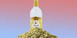 تعبیر خواب عرق رازیانه + عرق رازیانه از نظر منوچهر مطیعی و لیلا برایت