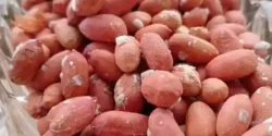 تعبیر خواب بادام زمینی ابن سیرین + گرفتن بادام زمینی از مرده و بادام زمینی