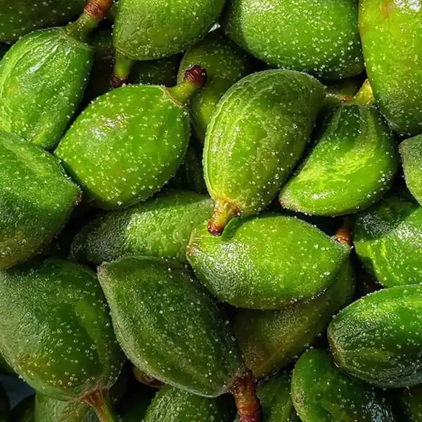 تعبیر خواب چغاله بادام سبز + چغاله بادام از دید امام صادق و چغاله بادام برای دختر مجرد