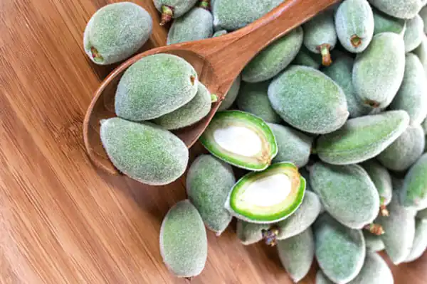 تعبیر خواب چغاله بادام + چیدن چغاله بادام از درخت و خوردن چغاله بادام