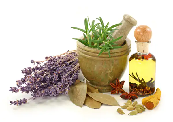 تعبیر خواب دارو گیاهی + دیدن عطاری و دارو گیاهی و درمان شدن با دارو گیاهی