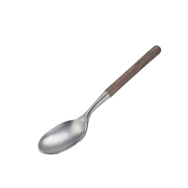 تعبیر خواب قاشق کوچک + گم کردن قاشق کوچک و خوردن غذا با قاشق کوچک