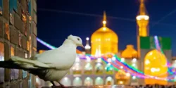 تعبیر خواب غبار حرم امام رضا +استشمام و لمس کردن غبار حرم امام رضا