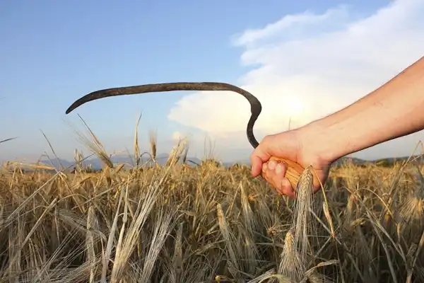 تعبیر خواب خرید داس + خرید داس برای دفاع از خود و خرید داس قدیمی و کند