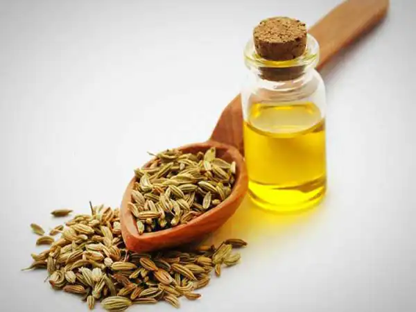 تعبیر خواب روغن رازیانه + درست کردن روغن رازیانه و مالیدن روغن رازیانه به بدن