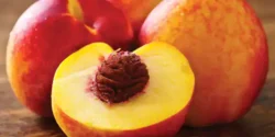 تعبیر خواب شفتالو از دید امام صادق + تعبیر خواب شفتالو ابن سیرین و درخت شفتالو