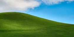 تعبیر خواب تپه سبز + دشت سرسبز برای دختر مجرد و بالا رفتن از تپه خاکی