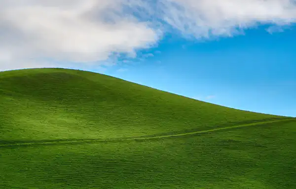 تعبیر خواب تپه سبز + دشت سرسبز برای دختر مجرد و بالا رفتن از تپه خاکی