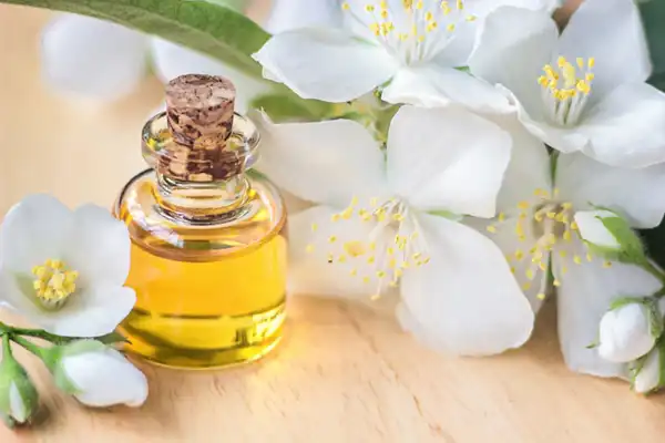 تعبیر خواب عطر یاس + برای زن متاهل و بادار و دختر مجرد