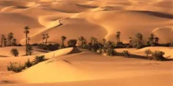 تعبیر خواب بیابان دیدن + برای زن متاهل و بادار و دختر مجرد