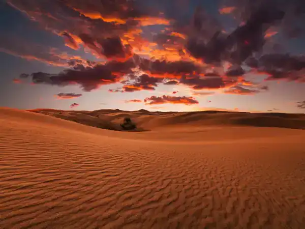 تعبیر خواب بیابان یونگ + برای زن متاهل و بادار و دختر مجرد