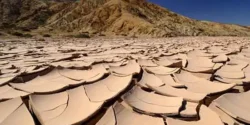 تعبیر خواب دیدن مرده در بیابان + برای زن متاهل و بادار و دختر مجرد