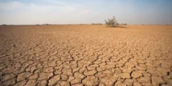 تعبیر خواب کویر خشک + برای زن متاهل و بادار و دختر مجرد