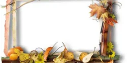 تعبیر خواب افتادن قاب عکس + برای زن متاهل و بادار و دختر مجرد